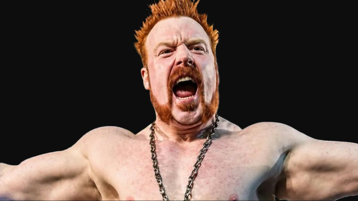 AEW talent reportedly pushing company to sign free agent Sheamus