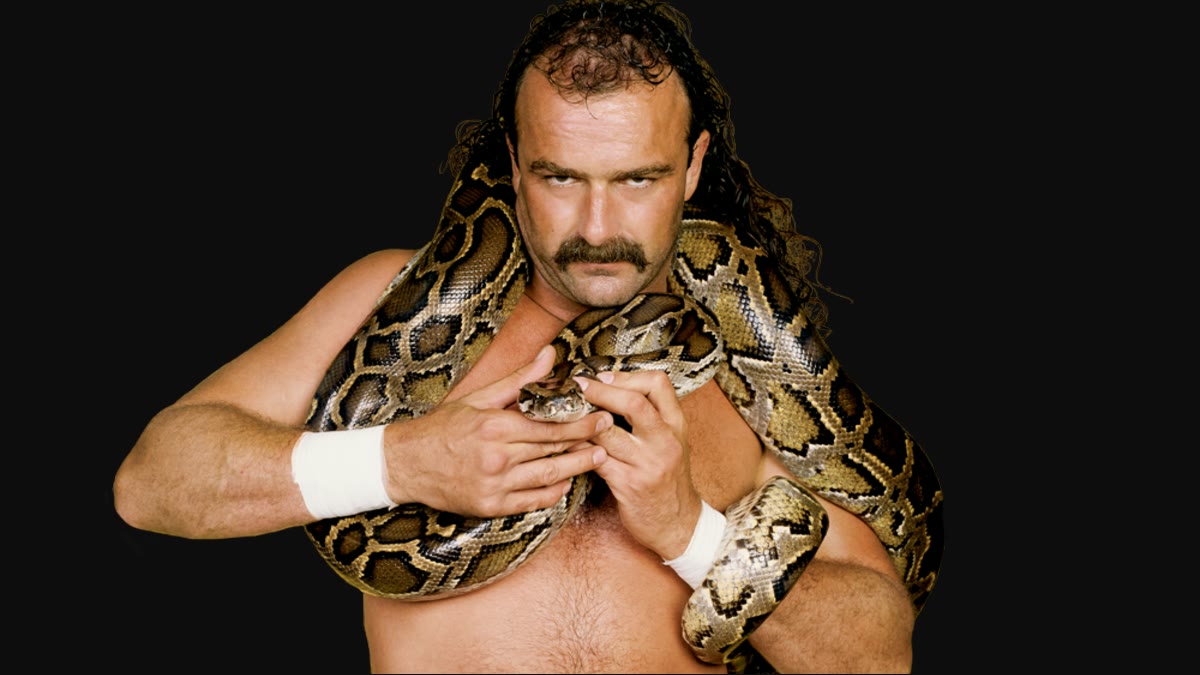 Jake Roberts says Roman Reigns got a little fat and a little lazy
